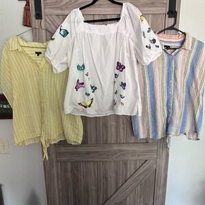 Talbots Blouse Set with Butterfly and Stripes